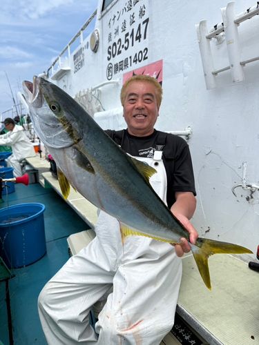 カンパチの釣果