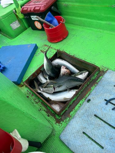 釣果