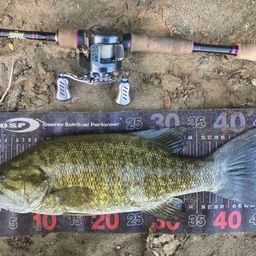 スモールマウスバス