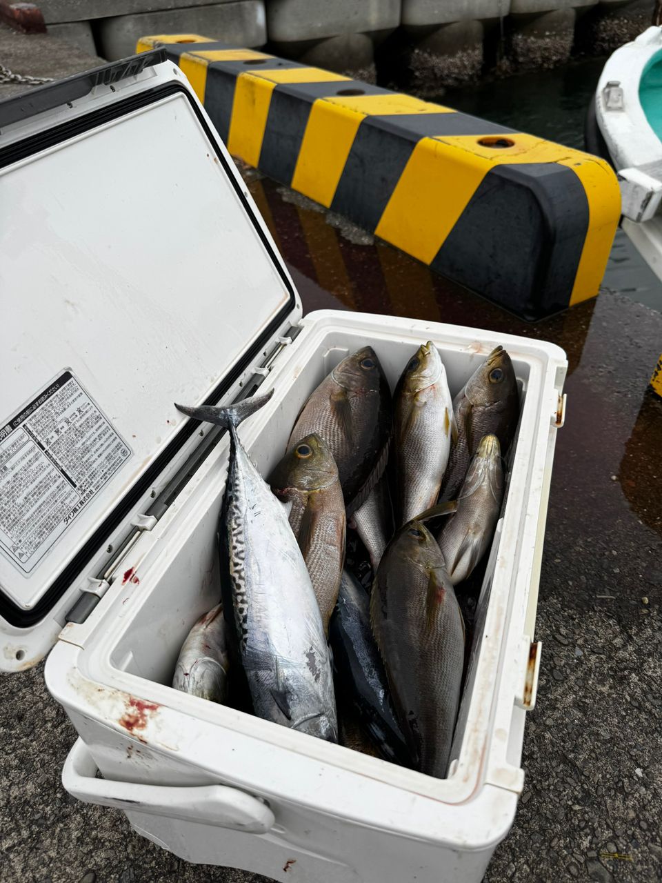 清和丸さんの釣果 3枚目の画像