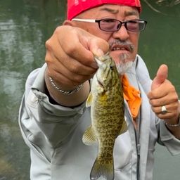 スモールマウスバス