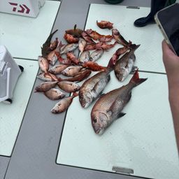 タイ