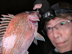タイの釣果