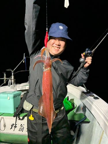 シロイカの釣果
