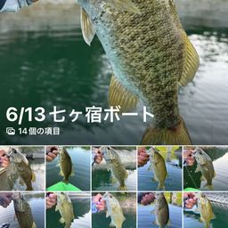 スモールマウスバス