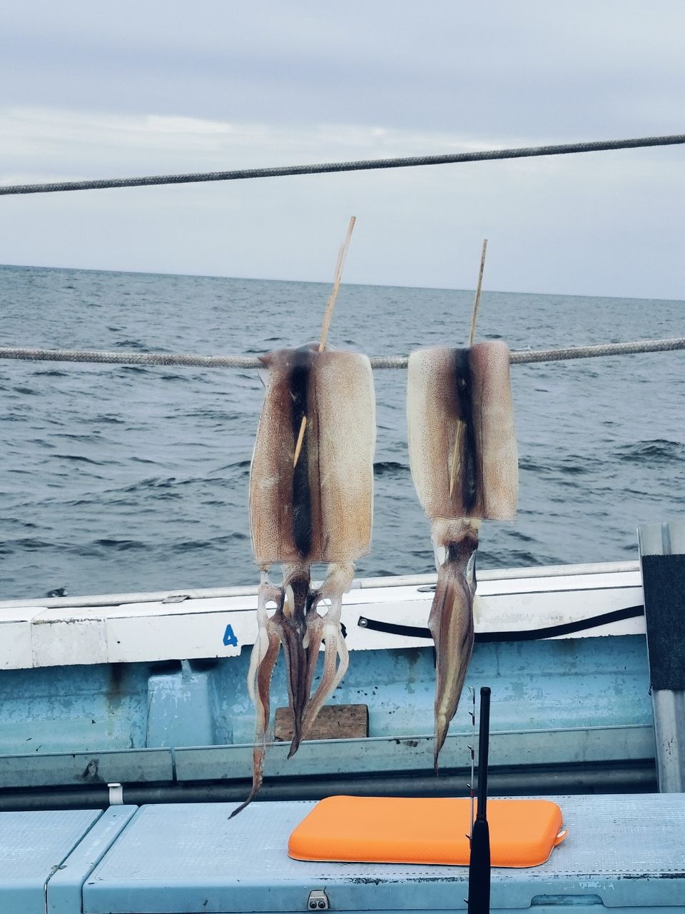オーツカさんの釣果 1枚目の画像