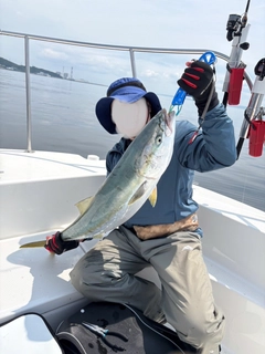 ブリの釣果