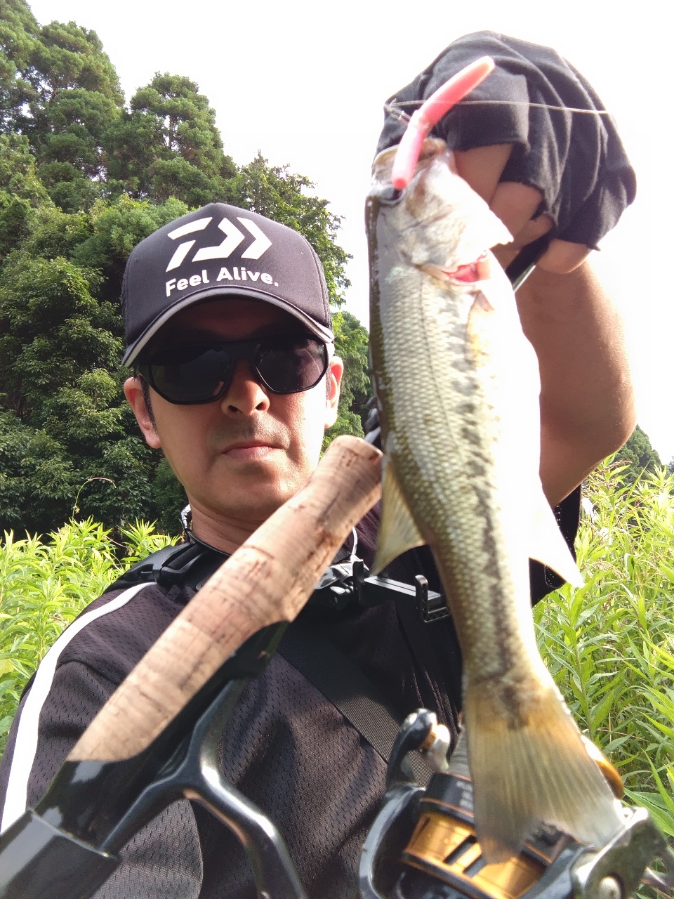 DAIWA 21ブレイゾン S63UL-2・STの最安値・インプレ・釣果