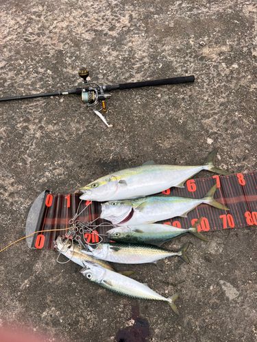釣果