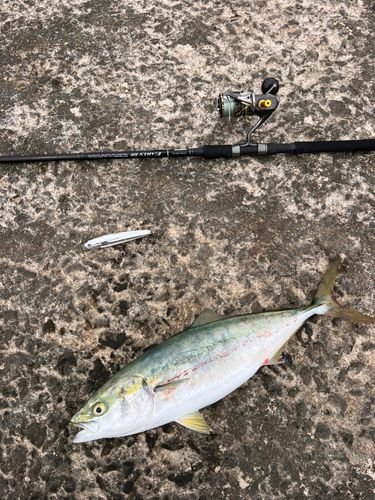 釣果