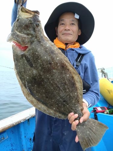 ヒラメの釣果