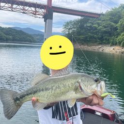 ブラックバス