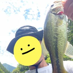 ブラックバス