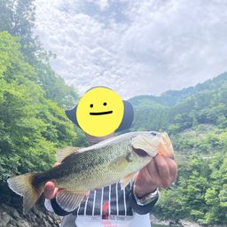 ブラックバス