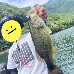 ブラックバス