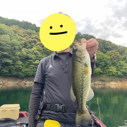 ブラックバス