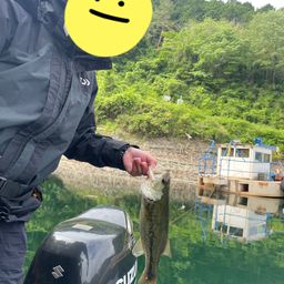 ブラックバス