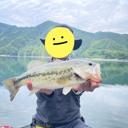 ブラックバス