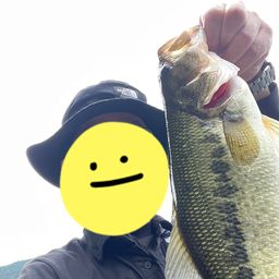 ブラックバス