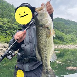 ブラックバス