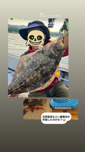 ヒラメの釣果