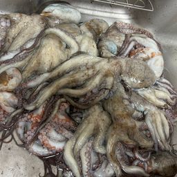 タコ