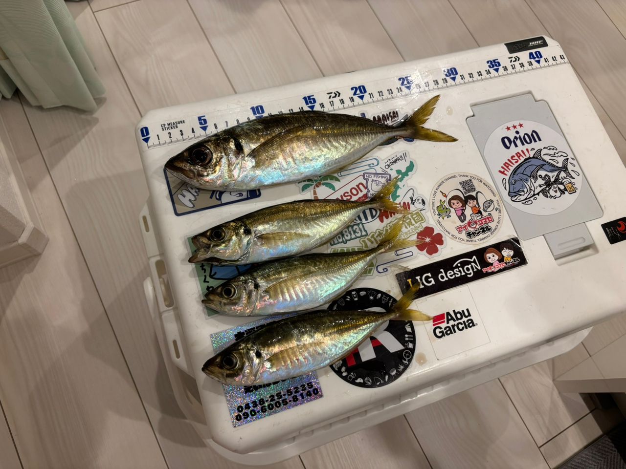 栄宝丸つり舟店／木更津港】最新の釣果情報 2025年8月速報