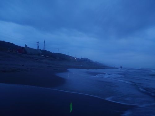 シタビラメの釣果