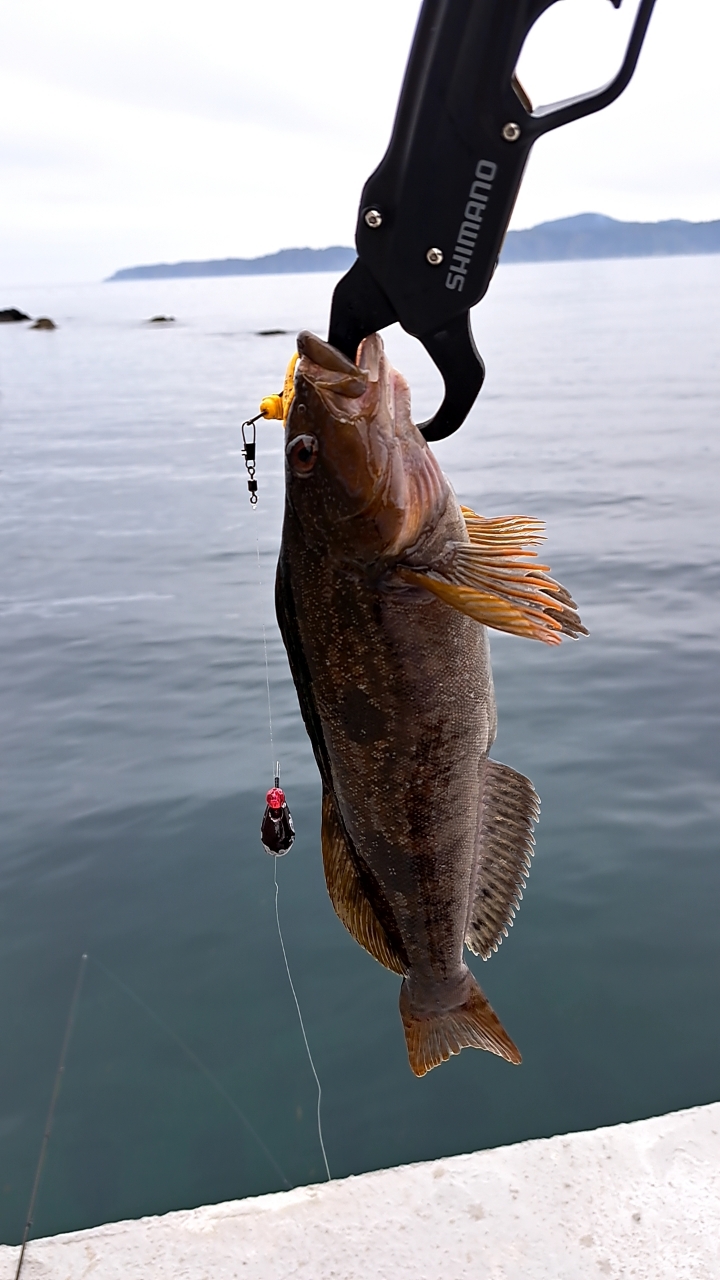SHIMANO 20ハードロッカー XR S910Hの最安値・インプレ・釣果