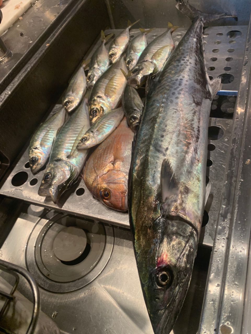 小魚さんの釣果 2枚目の画像