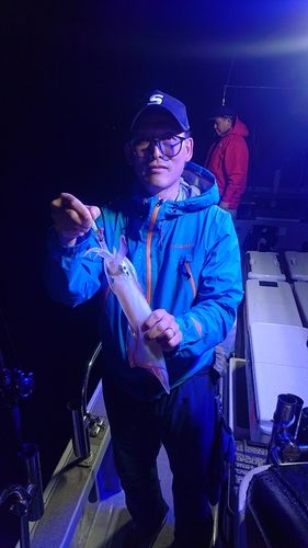 シロイカの釣果