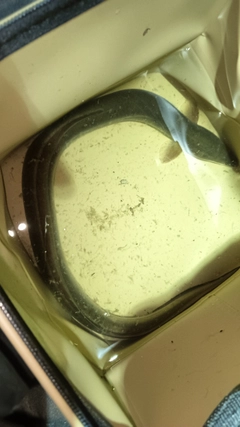 ウナギの釣果