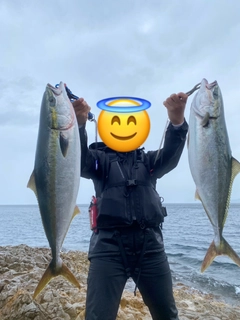 メジロの釣果