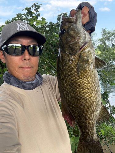スモールマウスバスの釣果