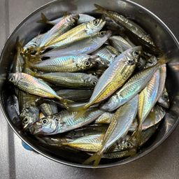 アジ