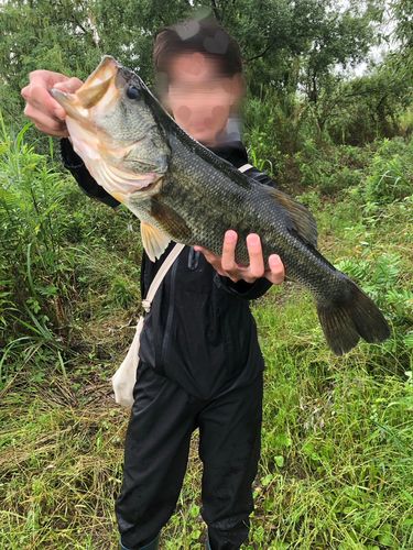 釣果
