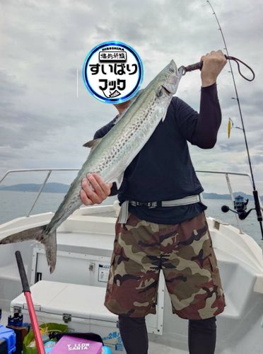 ブリの釣果