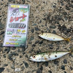アジ