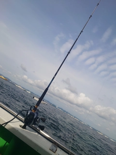 タチウオの釣果