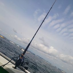 タチウオ
