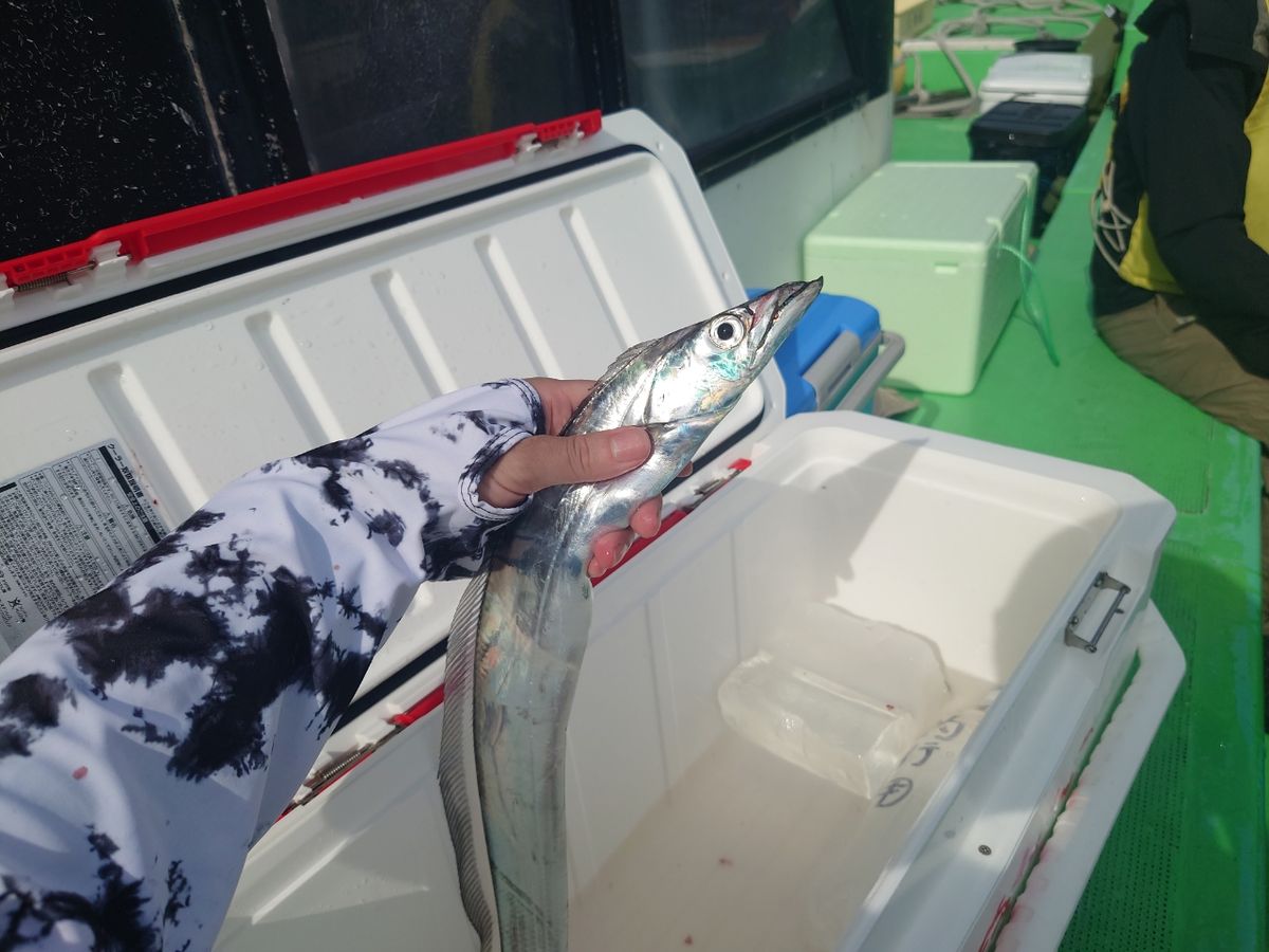 狐.comさんの釣果 2枚目の画像