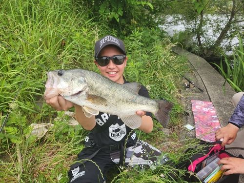 ブラックバスの釣果
