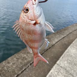 タイ