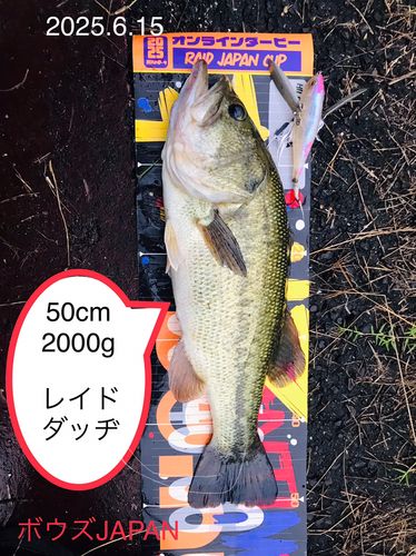 ブラックバスの釣果