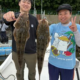 マゴチ