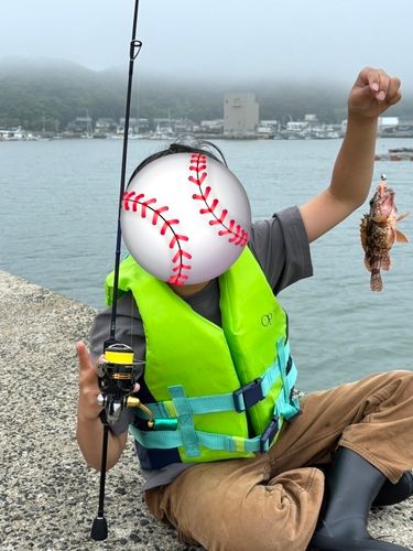 ガシラの釣果