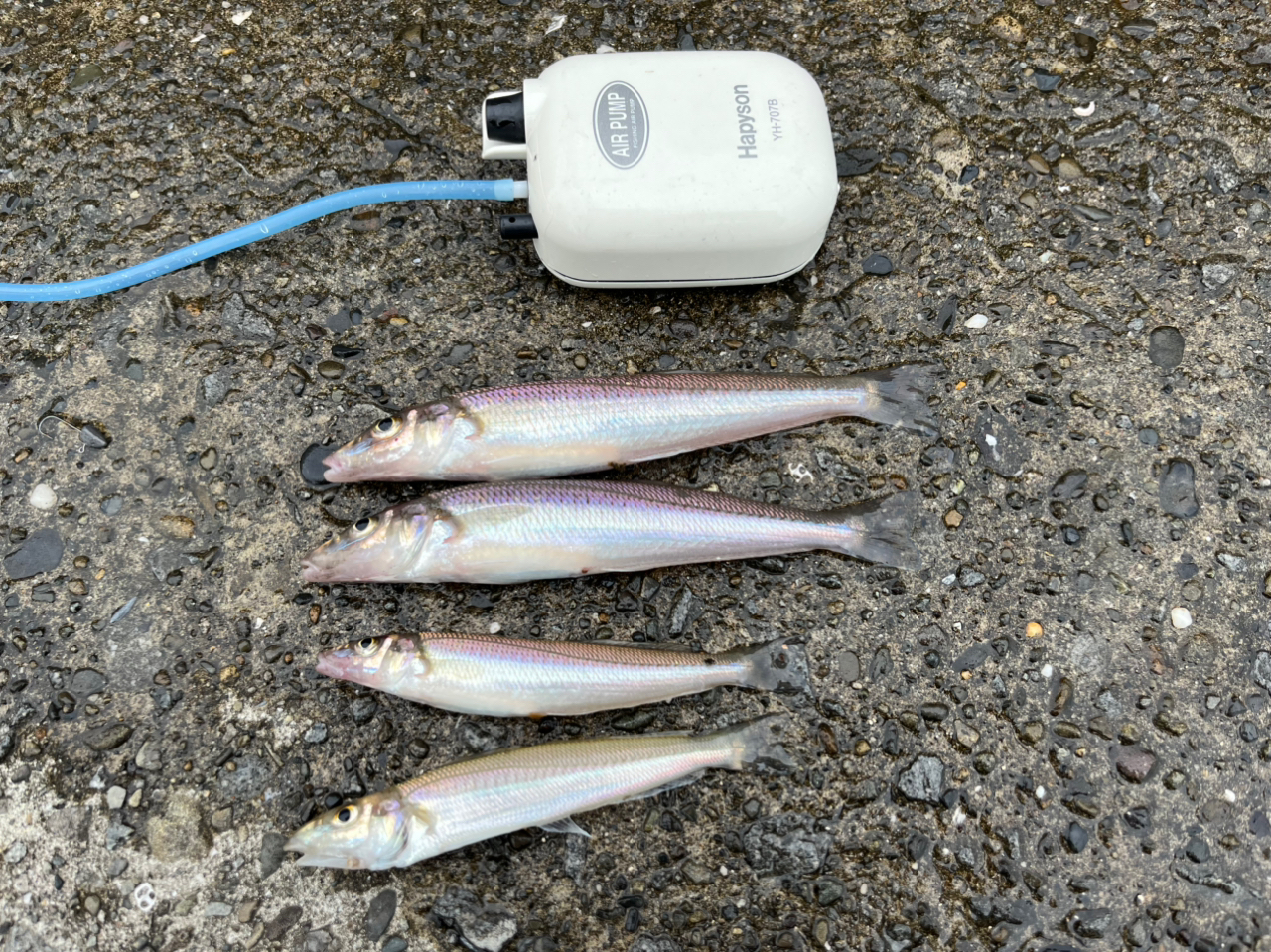 Shimano 21 Soare XR S54SUL-S – JDM TACKLE HEAVEN