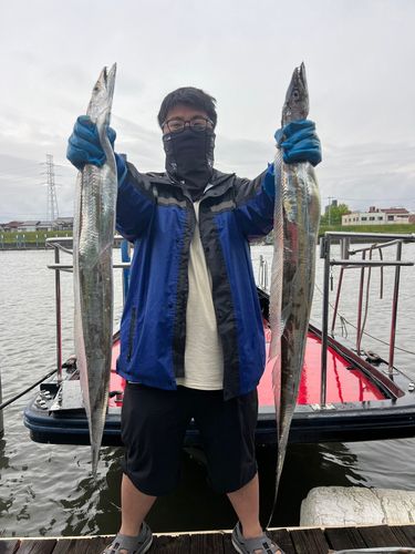 タチウオの釣果