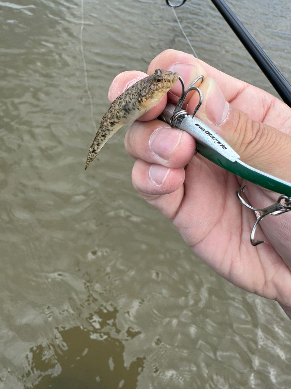 バス釣り引退　大量の為注意☆投げ売り☆処分品☆早い者勝ち☆バスルアー☆BOX付き 宮城の釣り師 さんの 2025年06月15日のハゼの釣り・釣果情報(宮城県