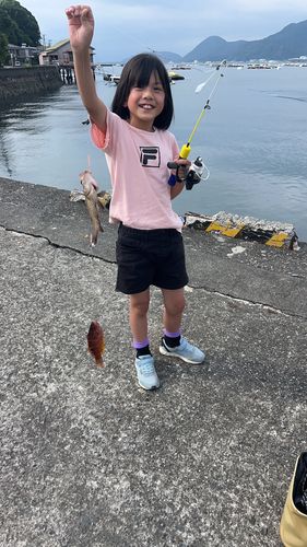 ユカタハタの釣果